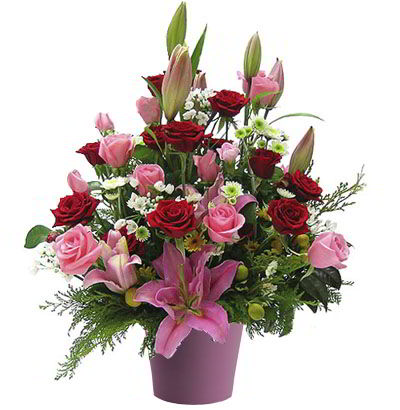 Arreglo para Cumpleaños 24